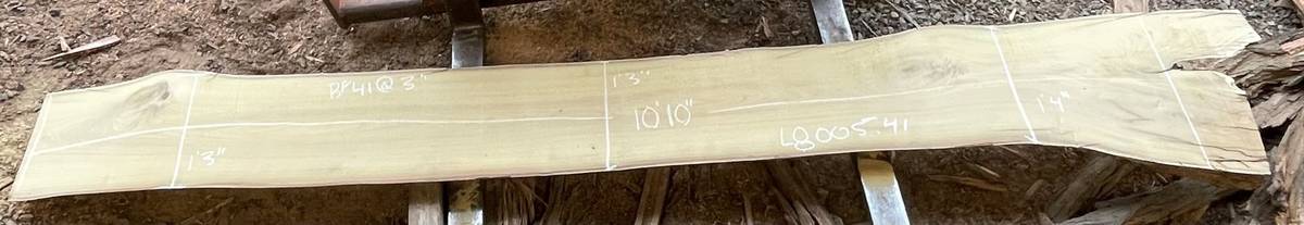 L08005.41 SEPT