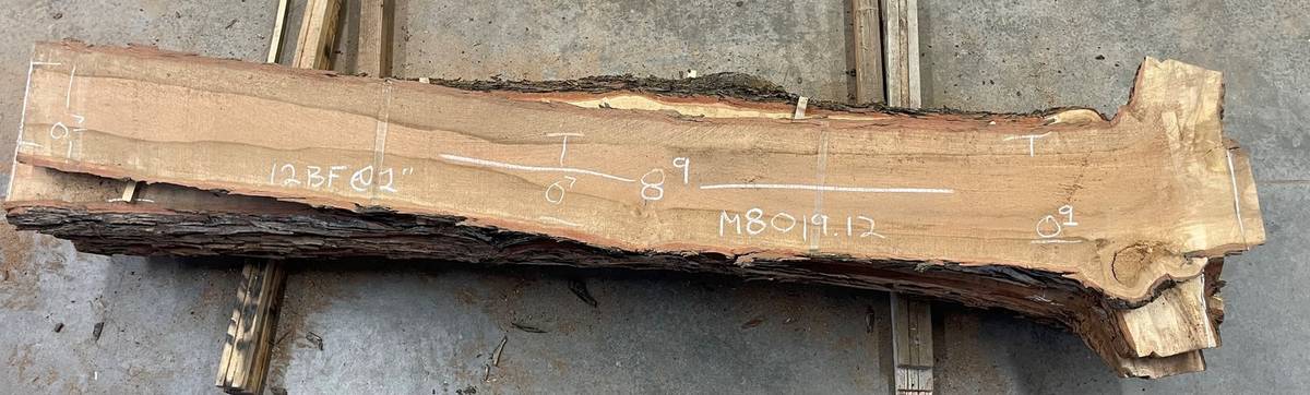 M08019.12