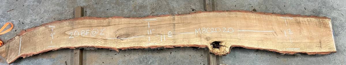M08020.20